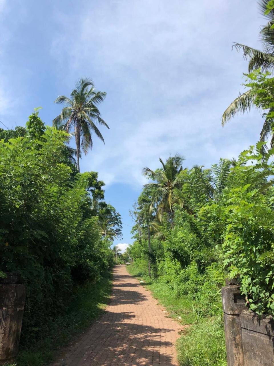 Pitaya Otel Weligama Dış mekan fotoğraf
