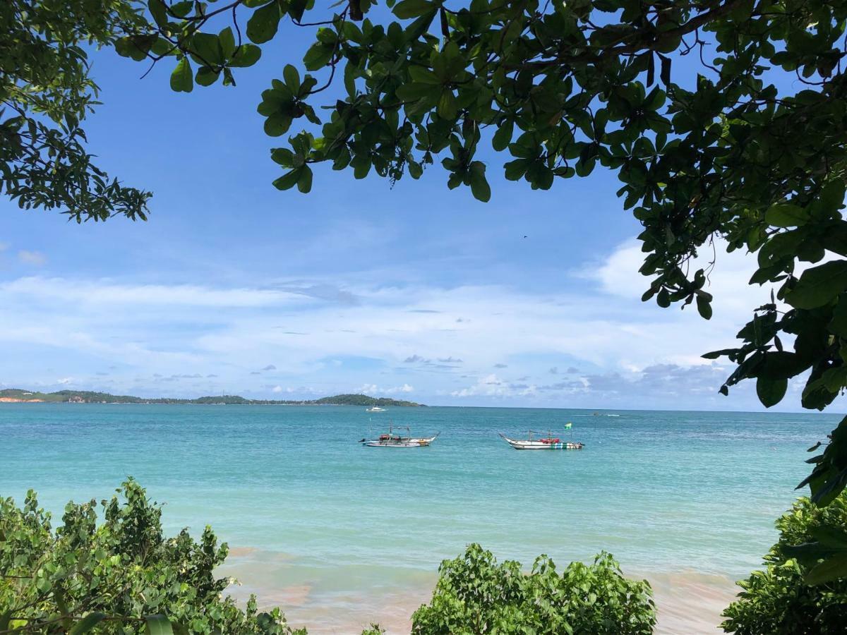 Pitaya Otel Weligama Dış mekan fotoğraf